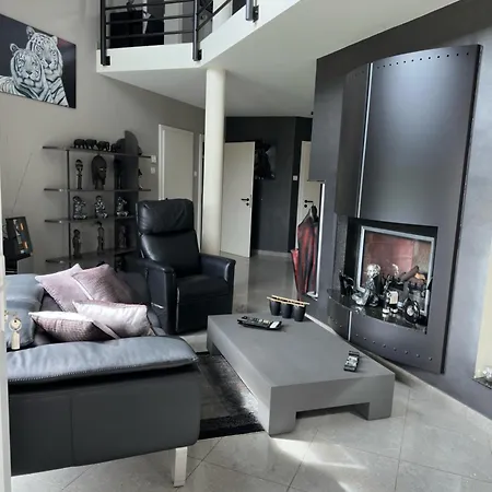 Grande Maison Au Calme Ferienhaus Ensisheim