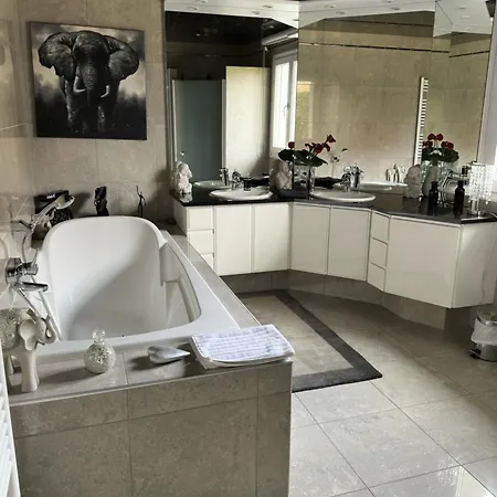 Grande Maison Au Calme Ensisheim