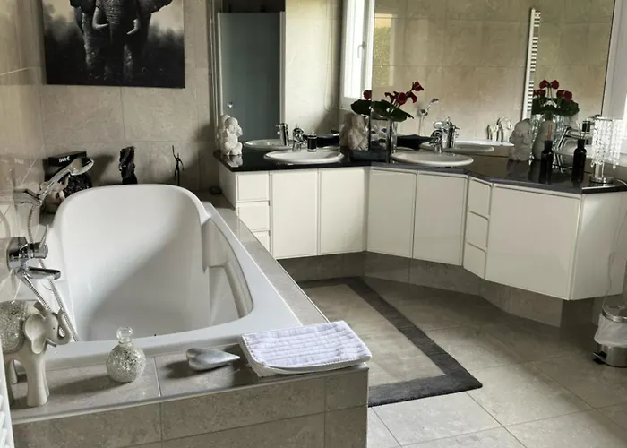 Grande Maison Au Calme Ensisheim